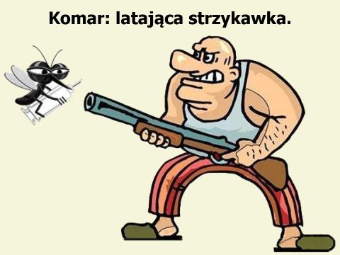 Bzzz, bzzz... milutkie Komar: latająca strzykawka